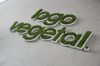 Logo Végétal