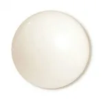 GLOBO 50